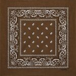 Bedeutung braunes Bandana