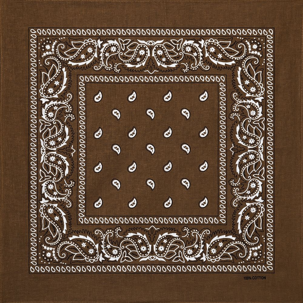 Bedeutung braunes Bandana